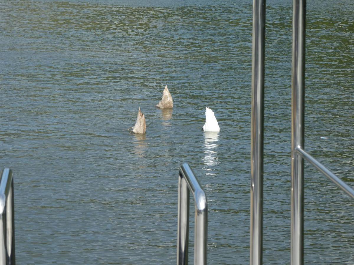 Hausboot Moselrose In Poelich Hotel Polich Kültér fotó
