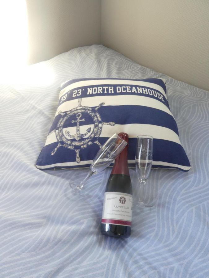 Hausboot Moselrose In Poelich Hotel Polich Kültér fotó